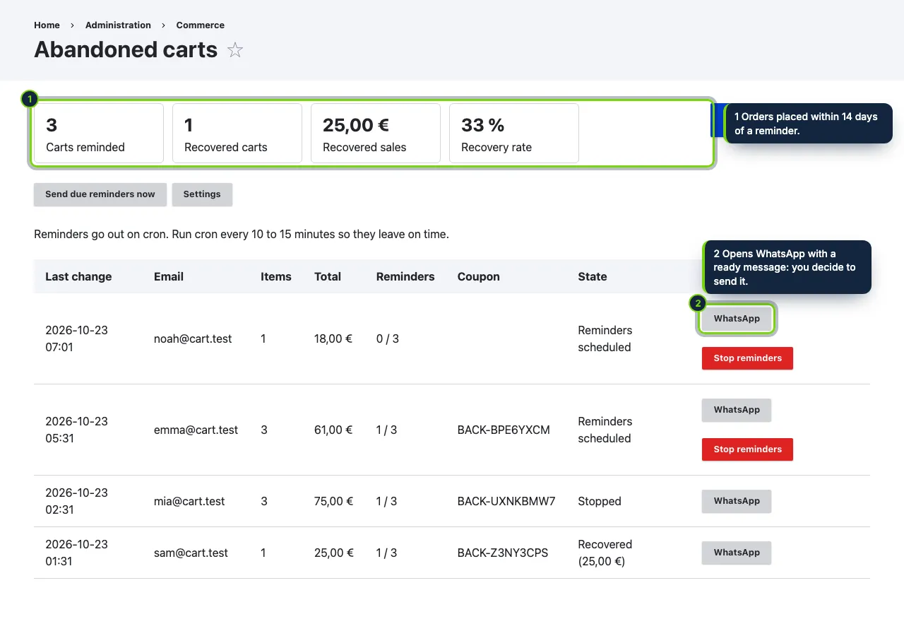 Commerce › Abandoned carts: results, every tracked cart and a WhatsApp link for a personal message.