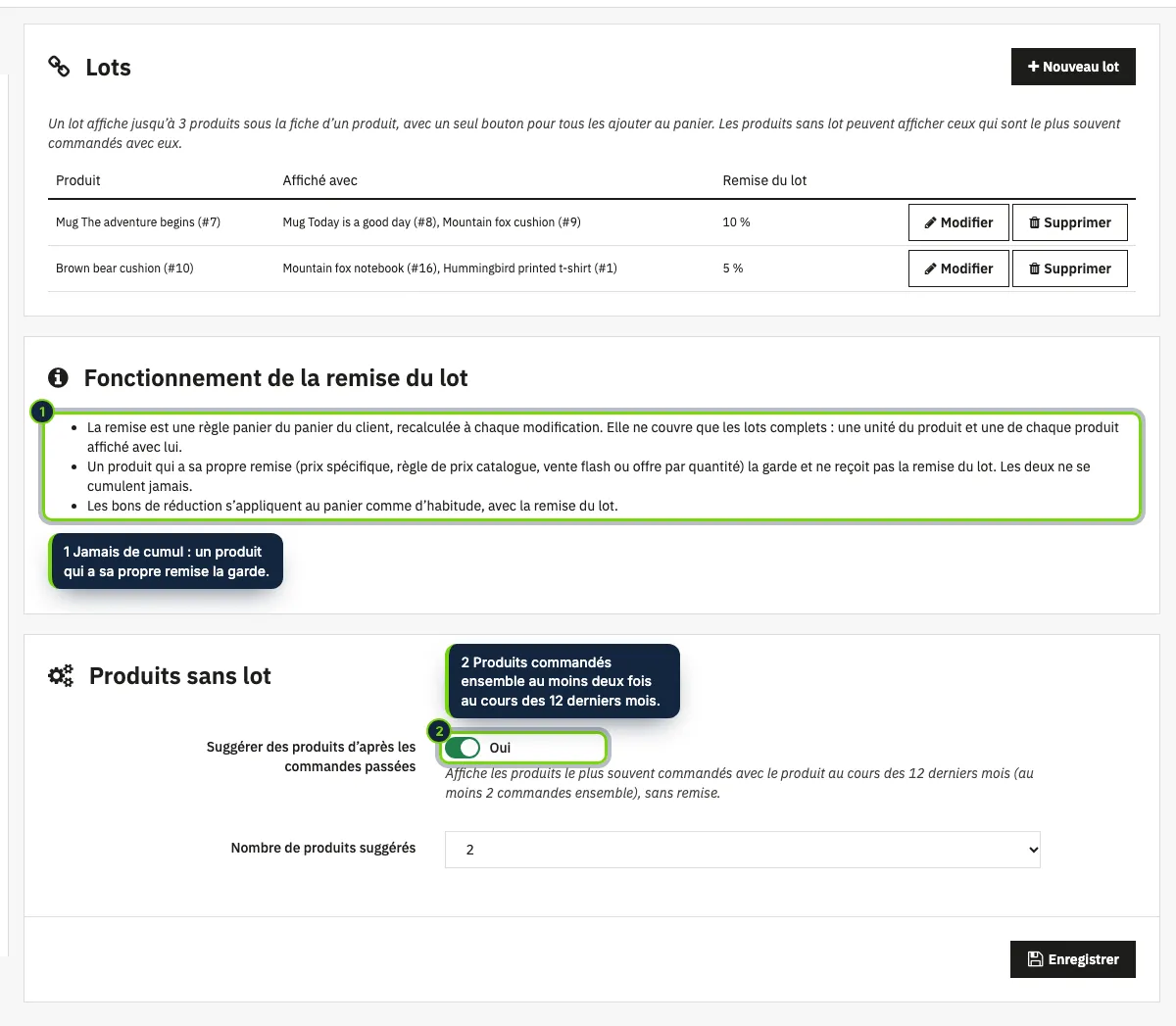 La page du module : les lots, le fonctionnement de leur remise et les suggestions pour les produits sans lot.