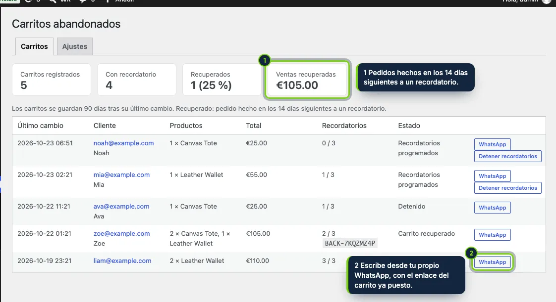 Marketing › Carritos abandonados: lo que recuperan los recordatorios y cada carrito registrado.