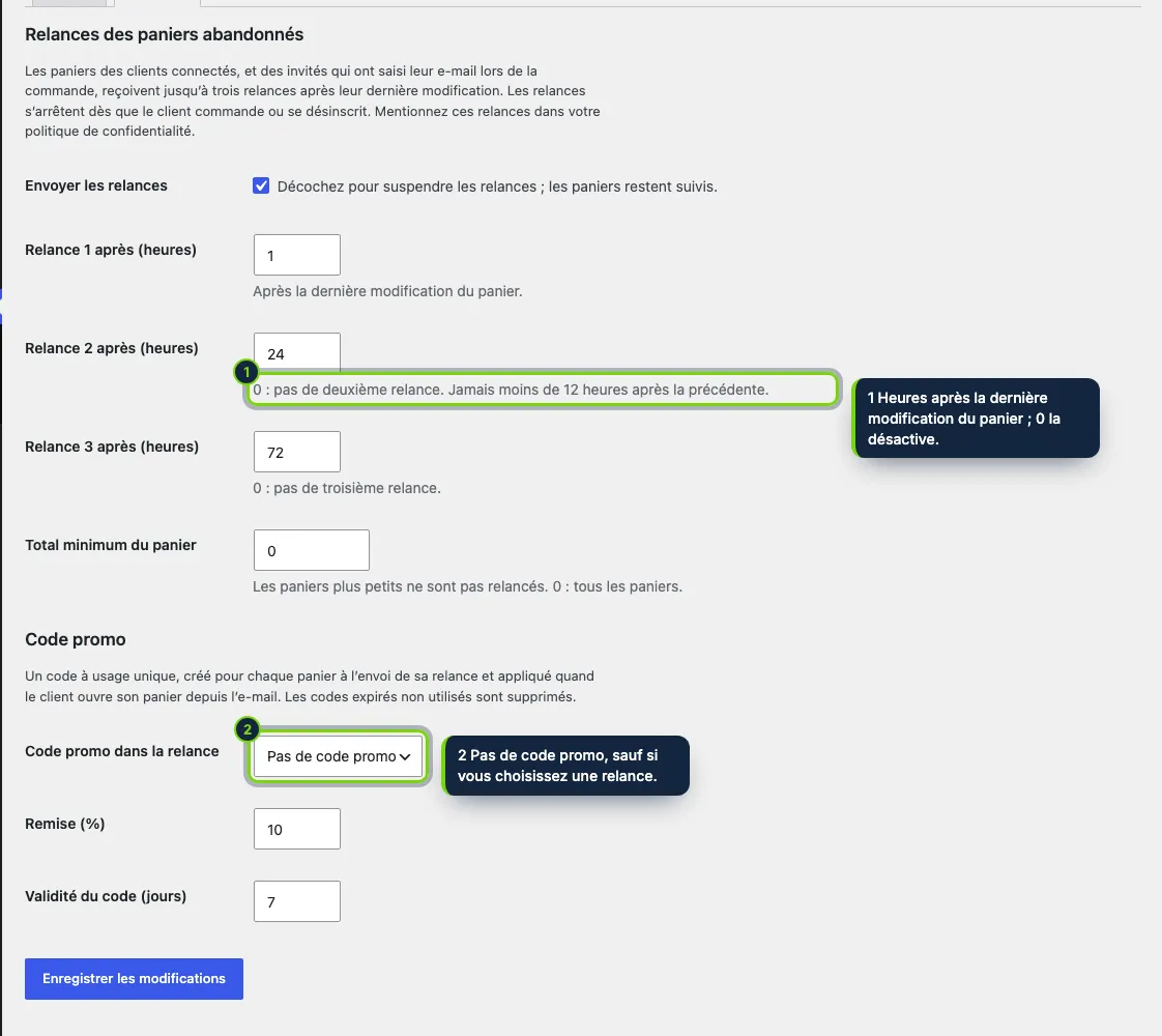 Jusqu’à trois relances, un total minimum de panier et un code promo facultatif.